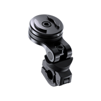 Mirror Mount Pro